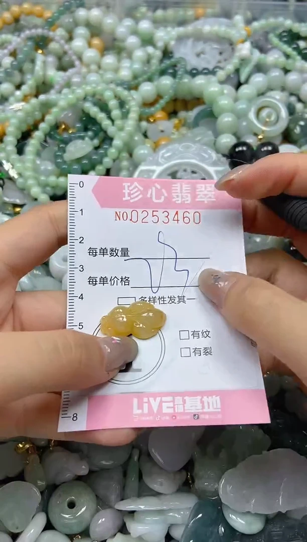 翡翠未镶嵌颈饰闪购0253460