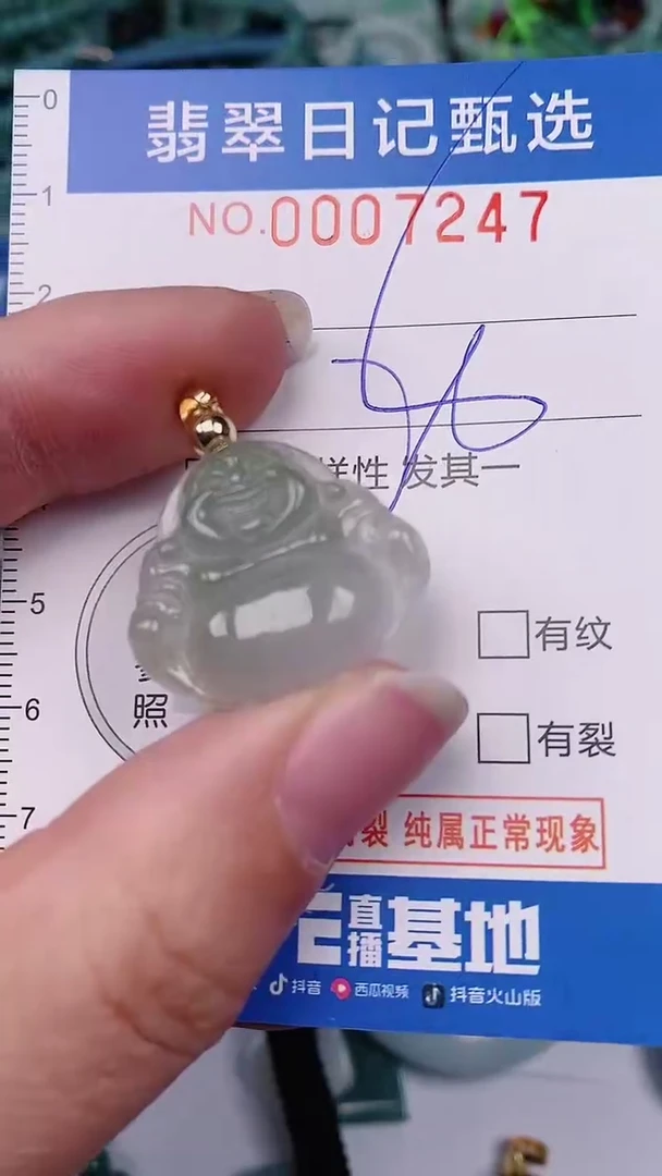 【闪购商品】翡翠颈饰未镶嵌00007247