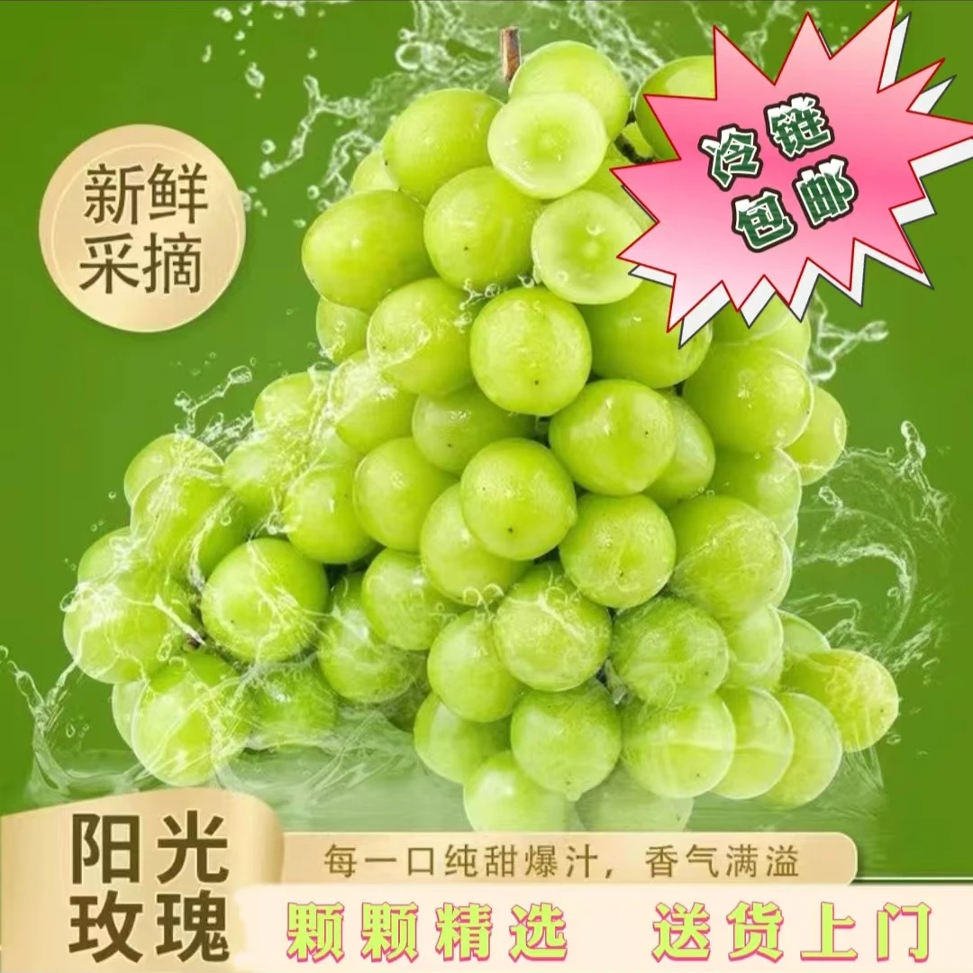 9.9元【顺丰包邮-颗颗精选】正品阳光玫瑰新鲜晴王青提当季新鲜3斤装云南省