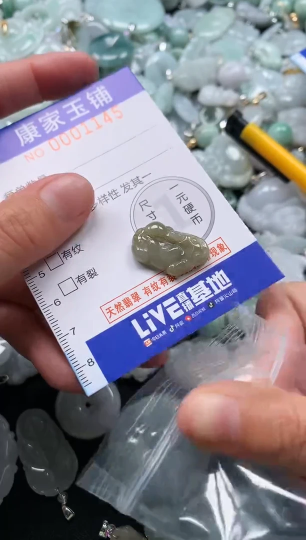 颈饰未镶嵌翡翠1145