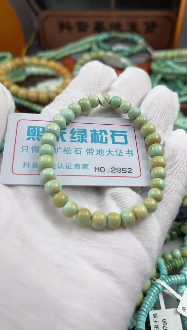 绿松石未镶嵌松石2852