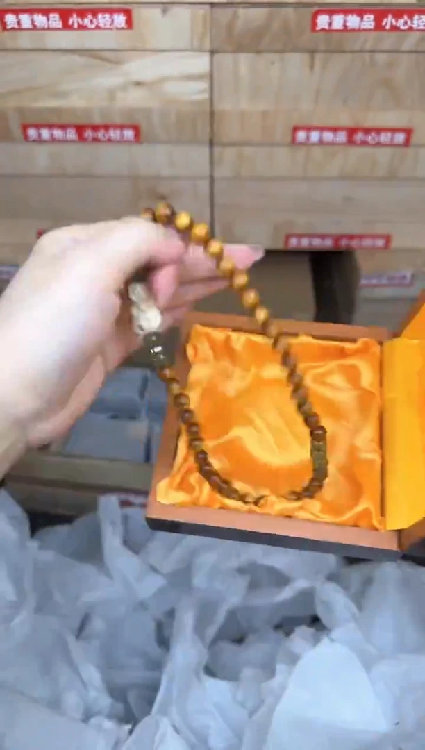 金丝海柳双圈@@sp366