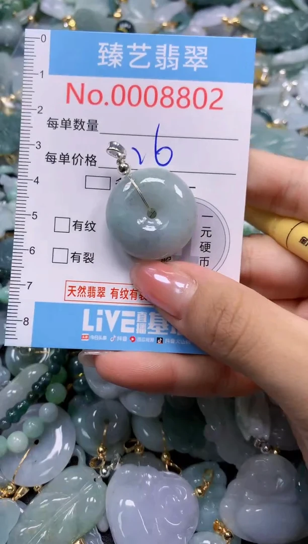 颈饰未镶嵌翡翠8802