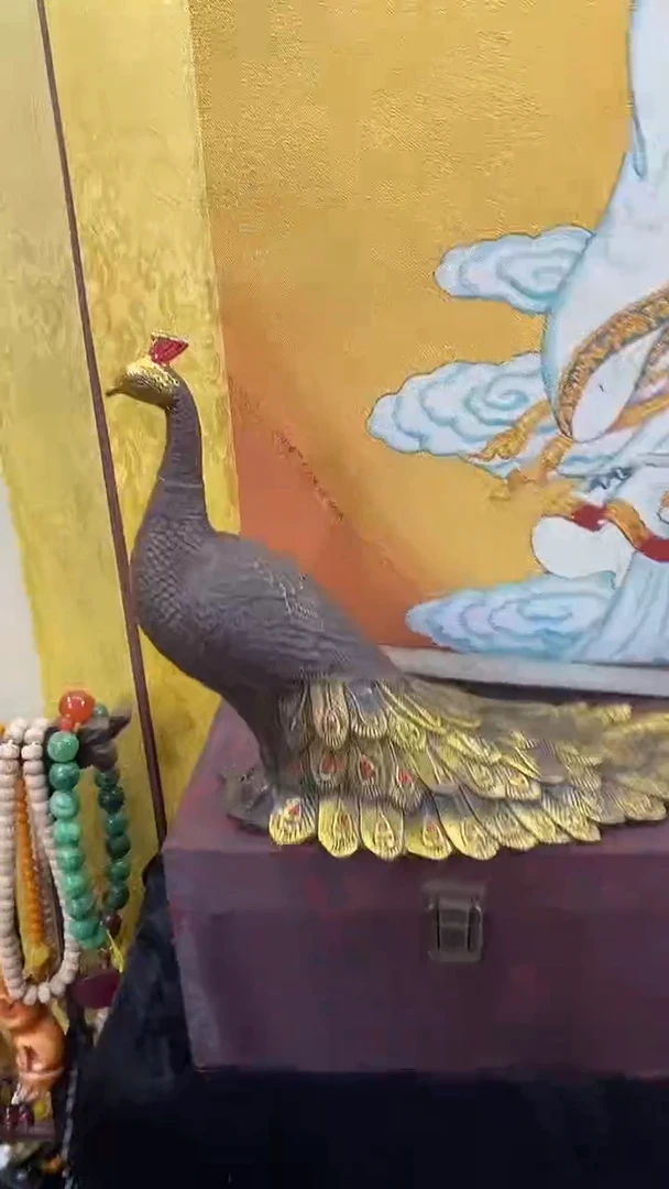 【闪购商品】主播推荐