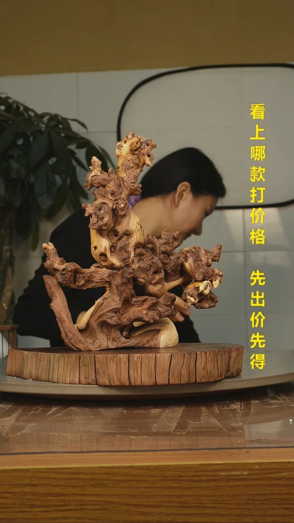 木开*金丝红木727