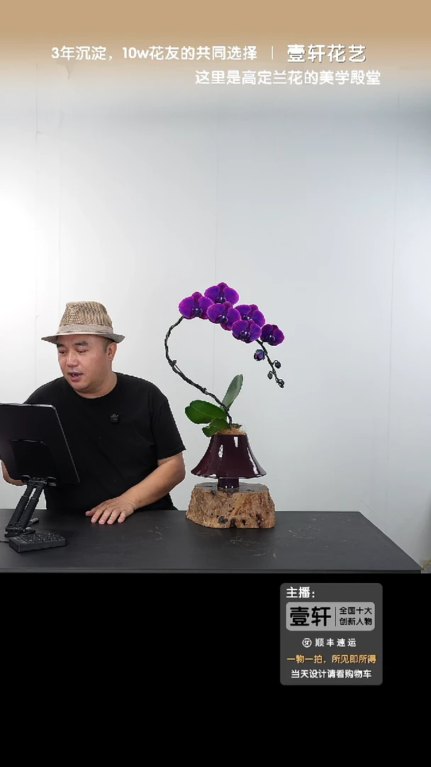 全部花朵【一物一拍】艺术盆景