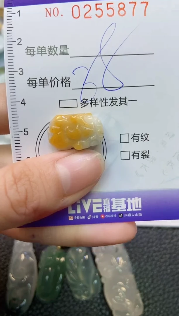 颈饰未镶嵌翡翠闪购0255877