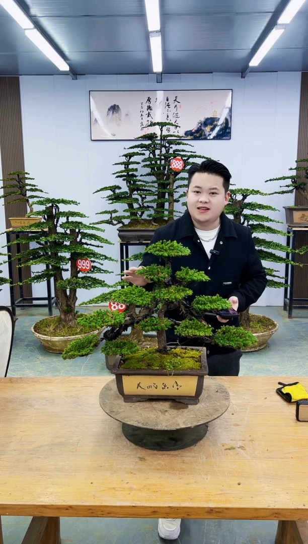 以实际为准0000000