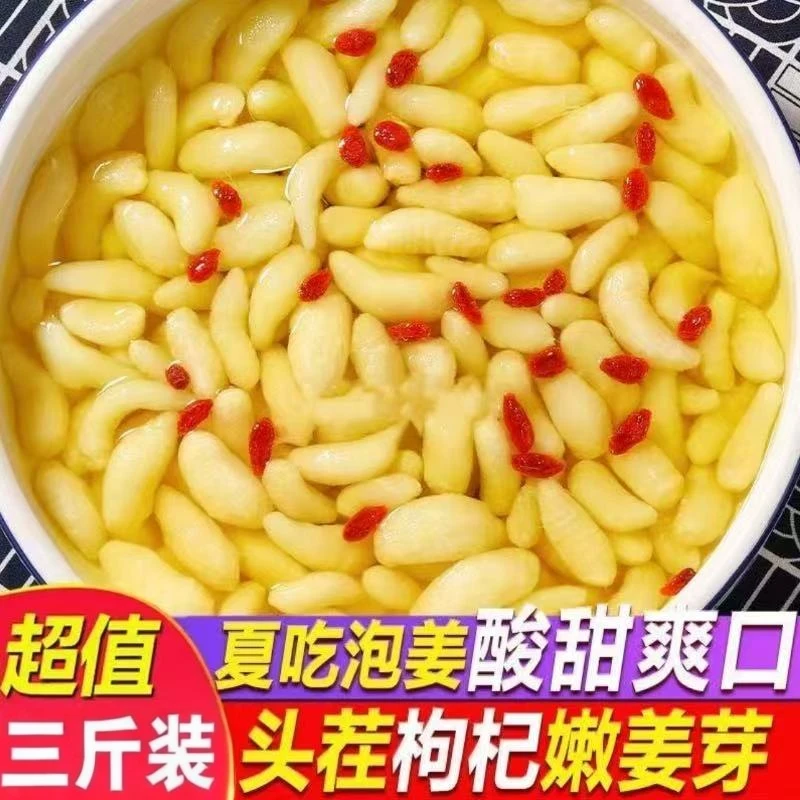 【抢3斤】正宗新鲜腌制枸杞泡姜芽酸辣下饭解腻即食包邮