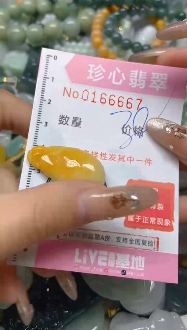 【闪购商品】翡翠颈饰未镶嵌闪购0166667