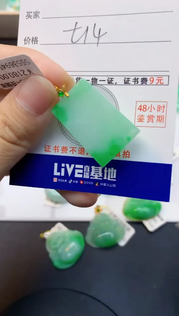 颈饰18K金镶嵌翡翠天然缅甸A货翡翠百元以上9元证书费自理