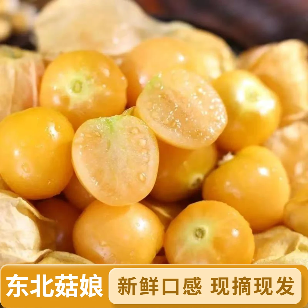 【香甜】正宗东北新鲜姑娘果特产水果现摘灯笼果黄姑娘水果金姑娘果