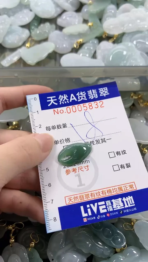 颈饰未镶嵌翡翠天然A货翡翠