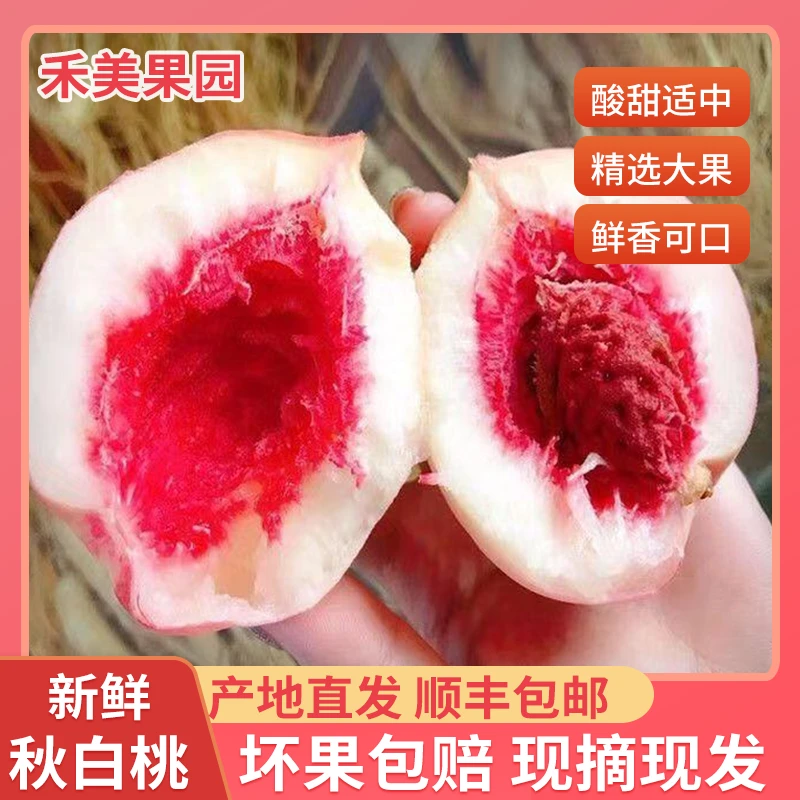 丹东河口秋白桃新鲜多汁离核红心酸甜可口产地水果