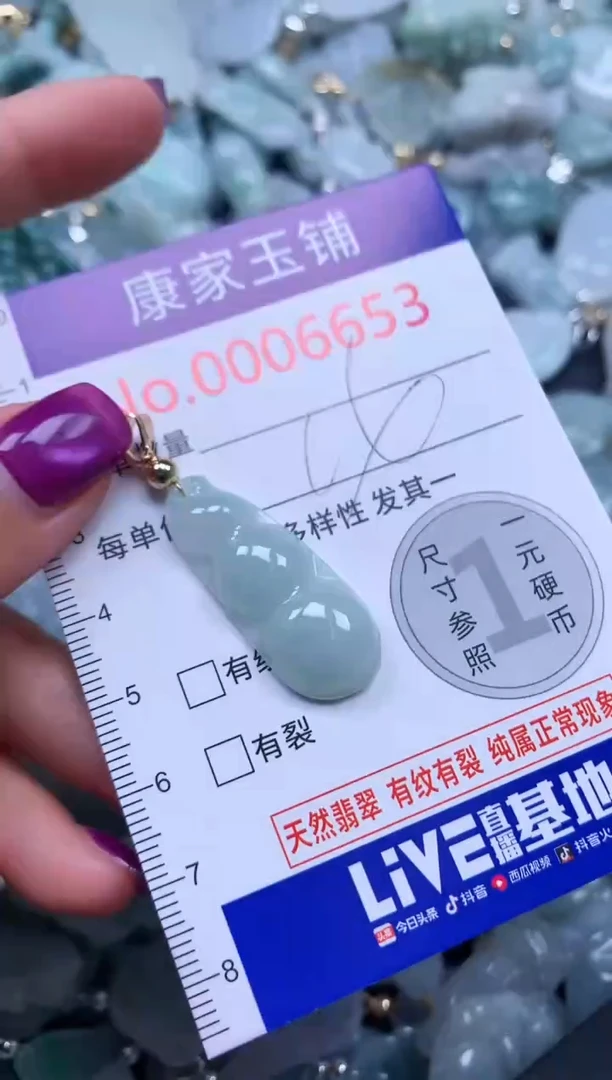颈饰未镶嵌翡翠6653