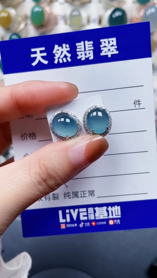 银S925镶嵌翡翠耳饰190