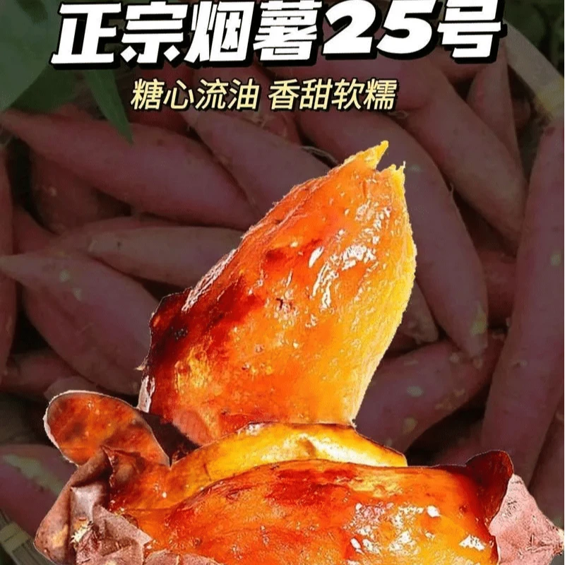 正宗阎店沙地烟薯25极甜流油软糯香甜无筋产地直发全国包邮