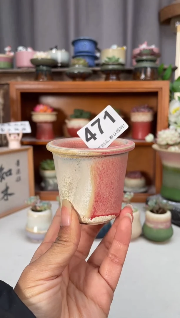 瓷片471小芳直播编号