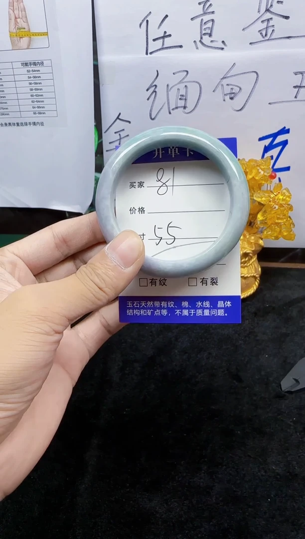 未镶嵌手镯翡翠81
