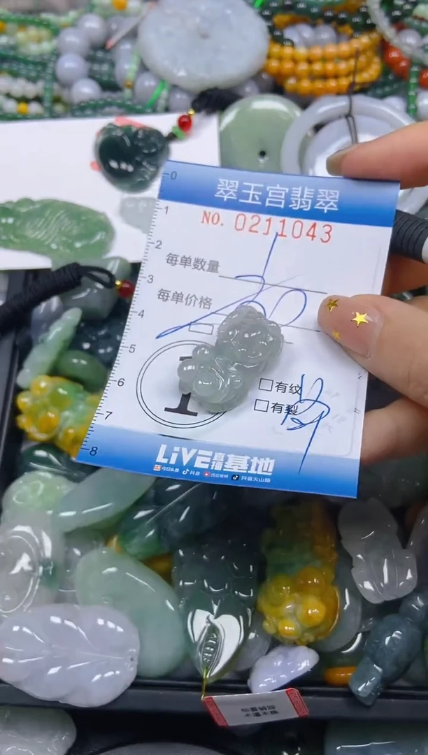 颈饰未镶嵌翡翠闪购C0211043多样性发其一
