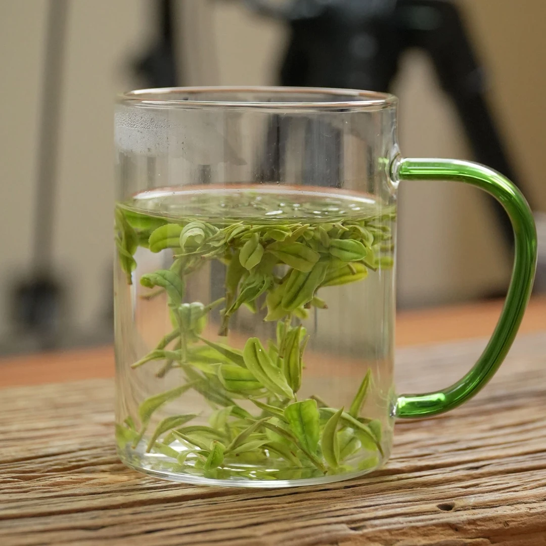 【黄杜山】新茶头春头采4A安吉白茶黄杜山高山明前茶1袋4g试喝装