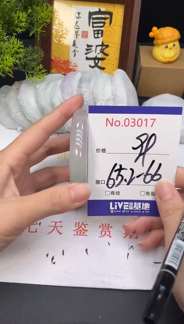 未镶嵌手镯翡翠3017