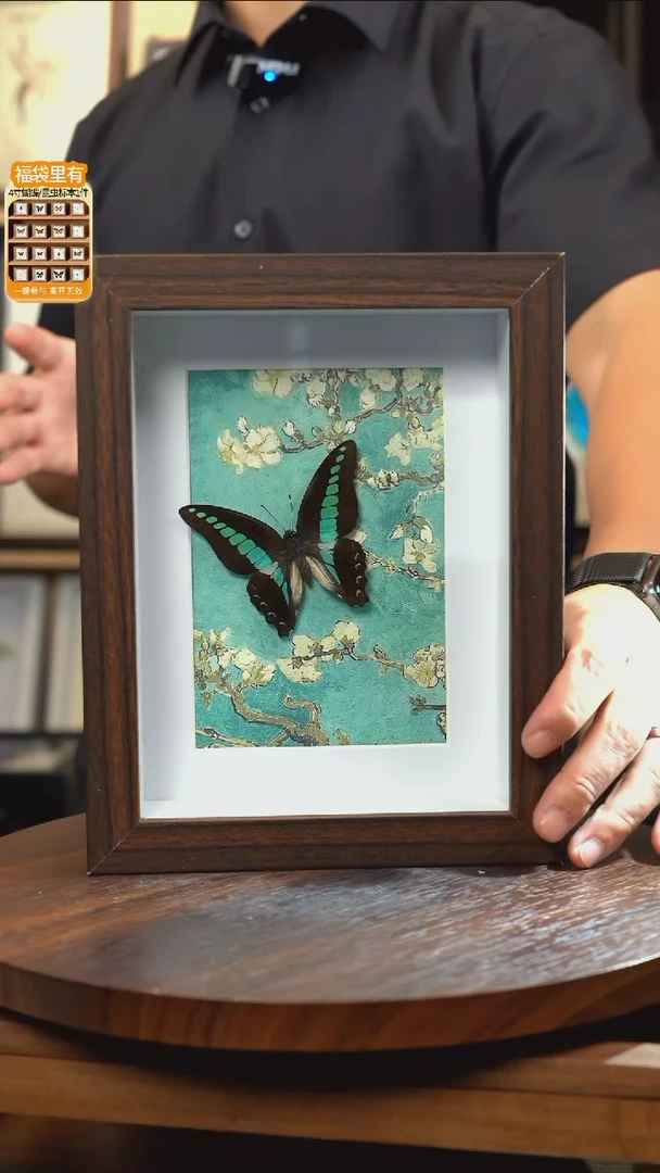 青凤蝶8寸复古框腊梅款