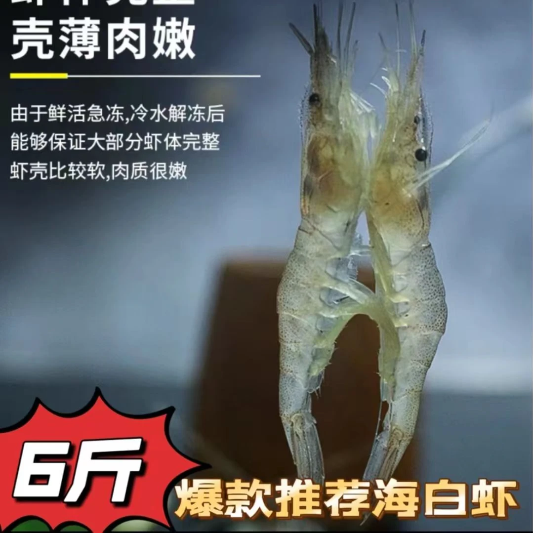 S【6斤】新鲜速冻海水小白虾 油炸虾 闲小勿拍