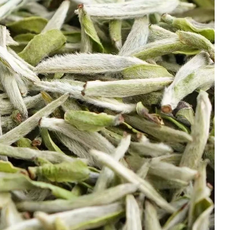 2025年福鼎白茶首采白毫银针鲜爽甘甜 高山茶精品白茶