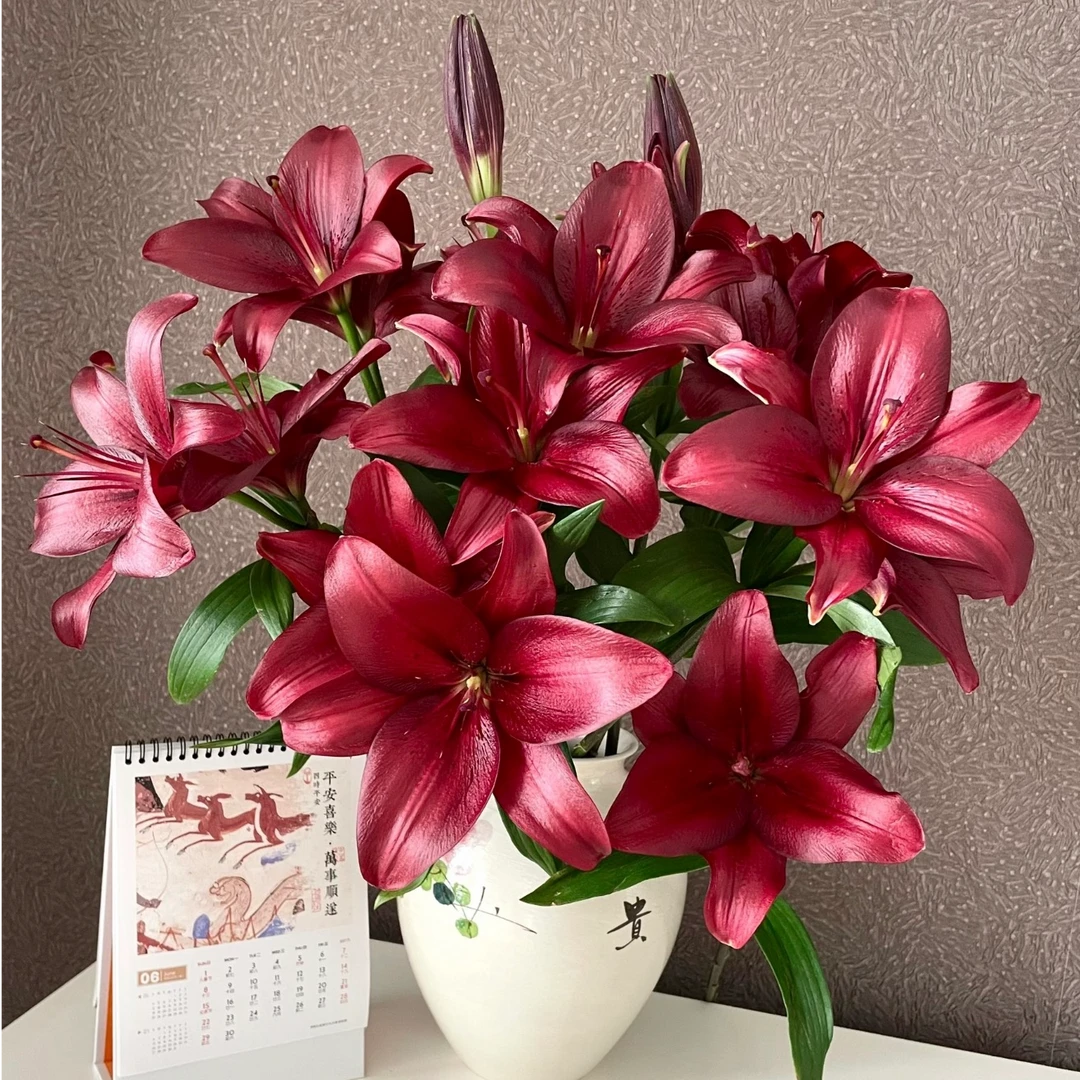 多头【红宝石】亚百合-无香味-复古大红-锦缎质感厚重华丽