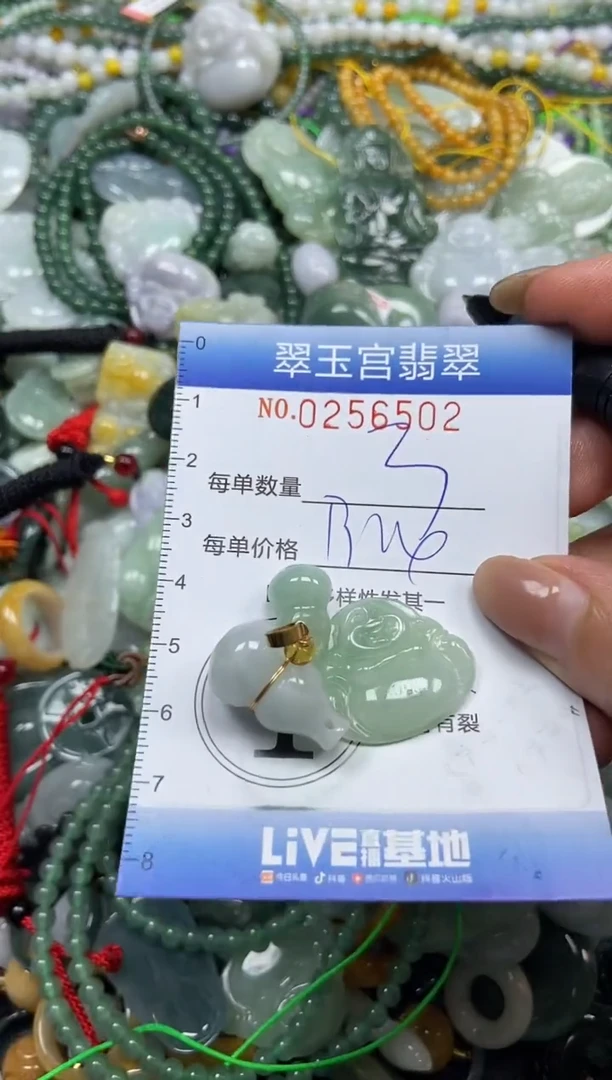 颈饰未镶嵌翡翠闪购C0256502