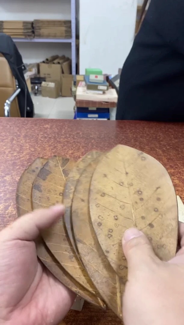 瓷片412小林轩欢迎您