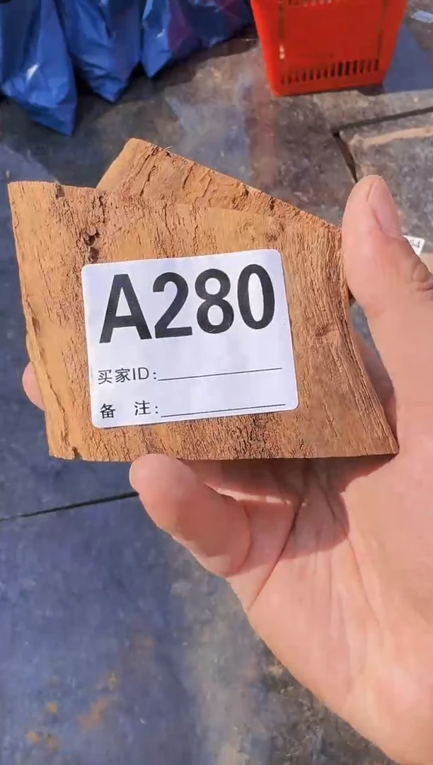 【闪购商品】柏木（崖柏）太行崖柏切片一片