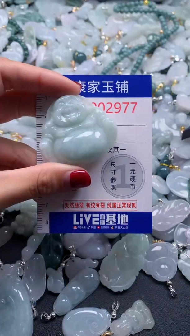 颈饰未镶嵌翡翠2977