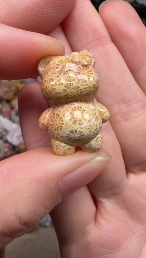 硅化珊瑚（珊瑚玉）未镶嵌颈饰362