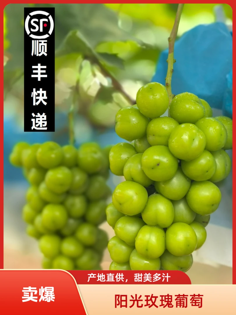 公安正宗阳光玫瑰葡萄顺丰包邮