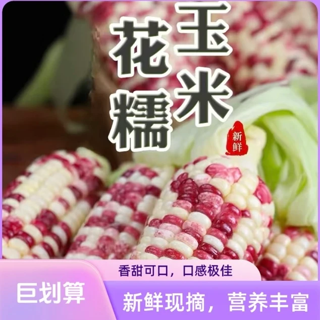 【郭妞妞专属】新鲜花糯玉米15根精品大果新鲜软糯香甜