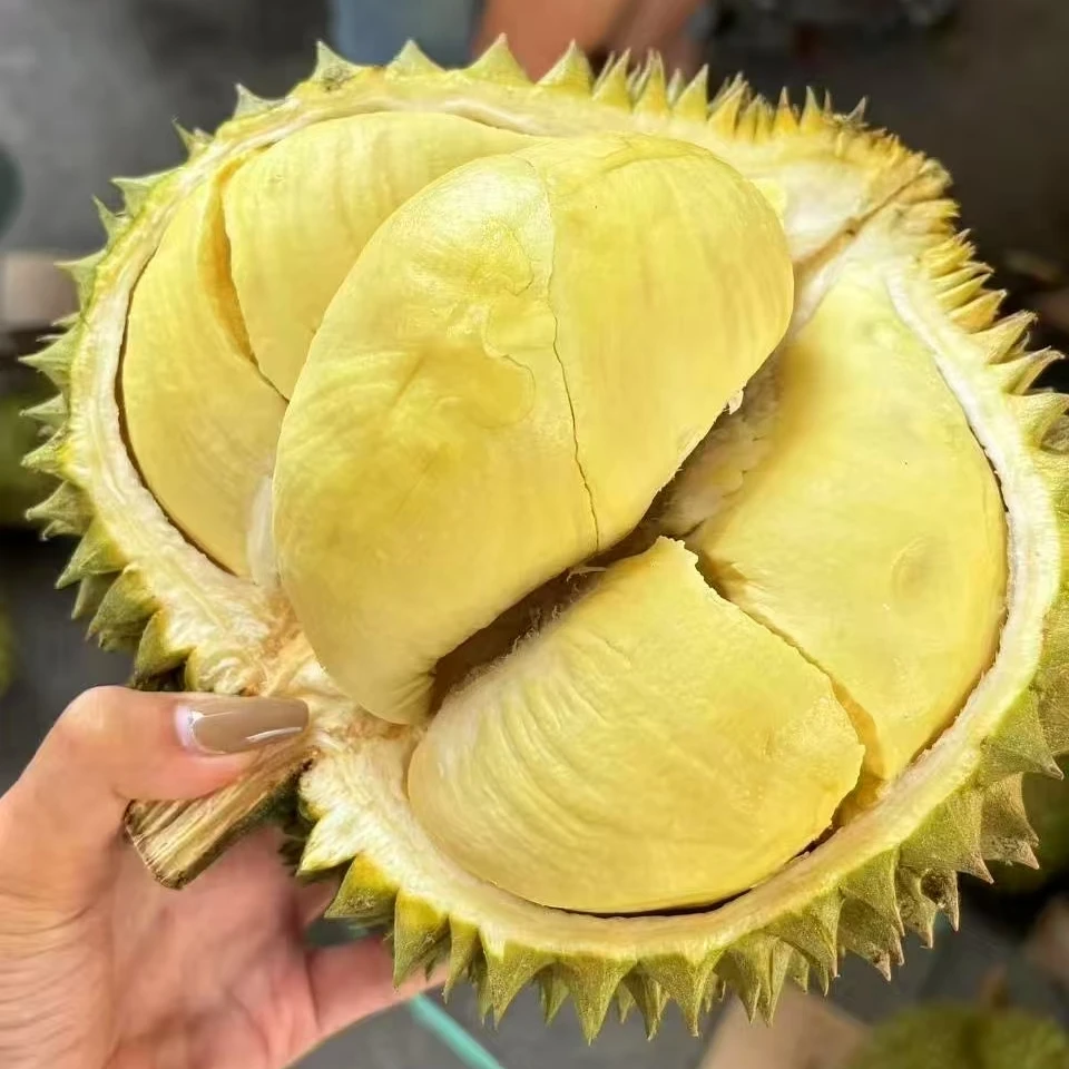 【微湿包福利】泰国金枕新鲜榴莲 核小肉厚2斤金枕泰国东部