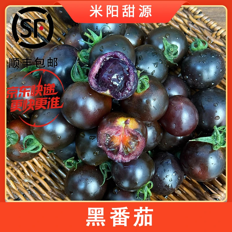 【米阳甜源】山东黑番茄 1斤/2斤 顺丰/京东 XJ