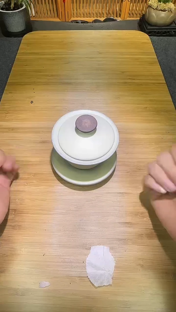 茶盏茶盏8888888888白贝三才