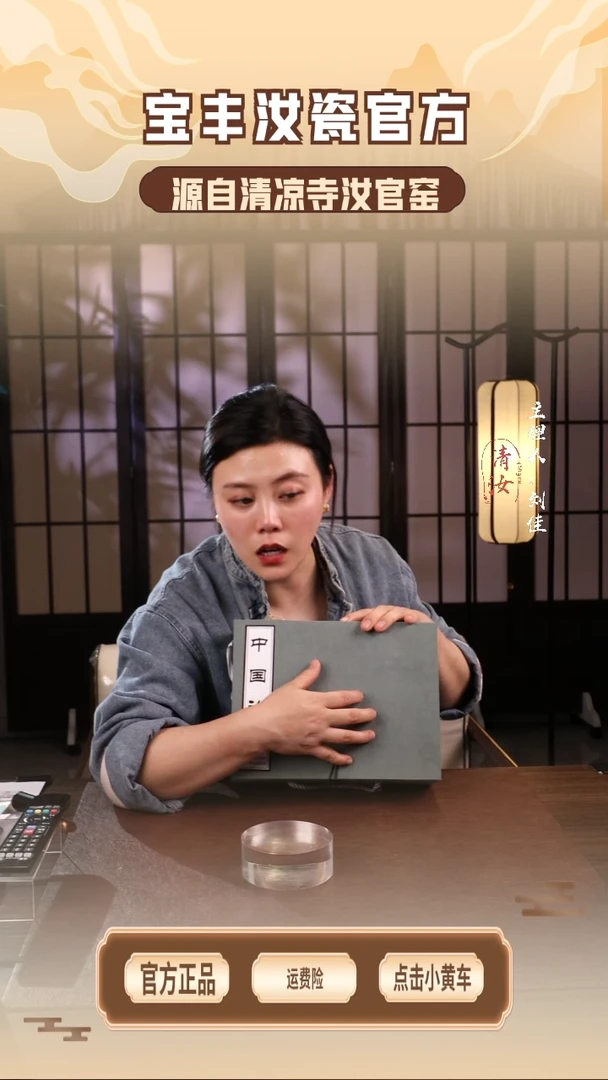 【闪购商品】瓷片SXP................