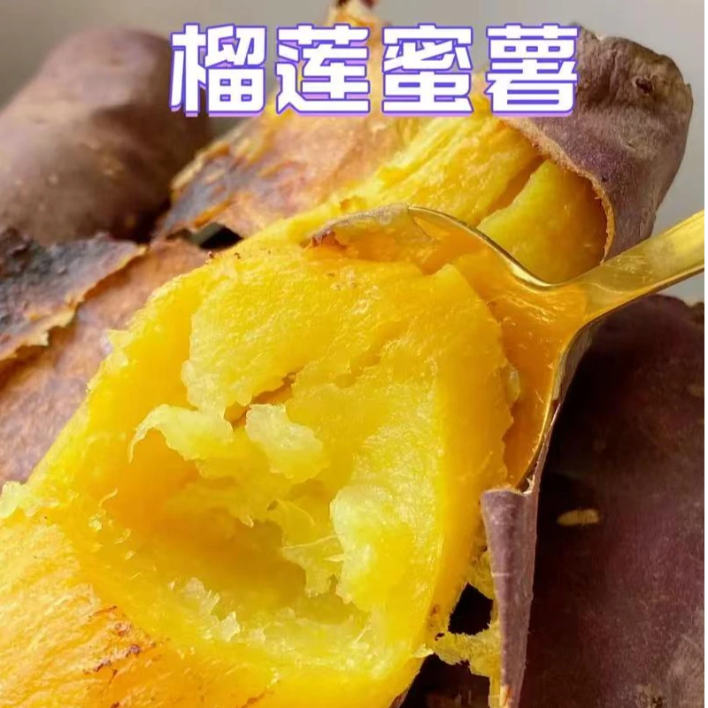 【丁果鲜生】新鲜到货黄金榴莲蜜薯净重4.5斤