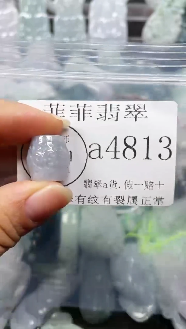 【闪购商品】翡翠颈饰未镶嵌闪购4813