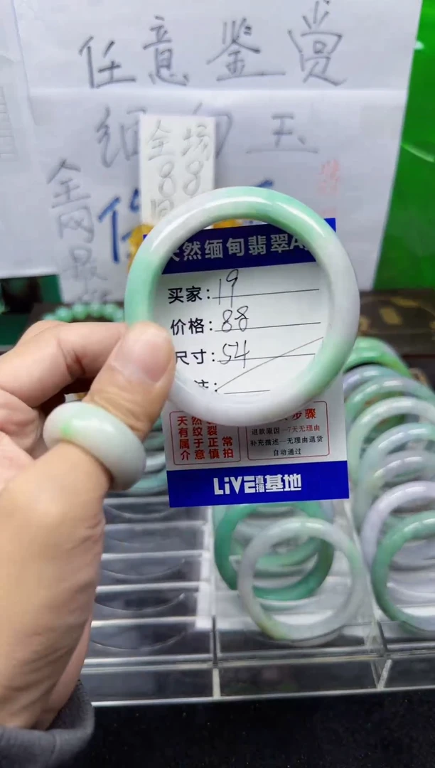 未镶嵌手镯翡翠19