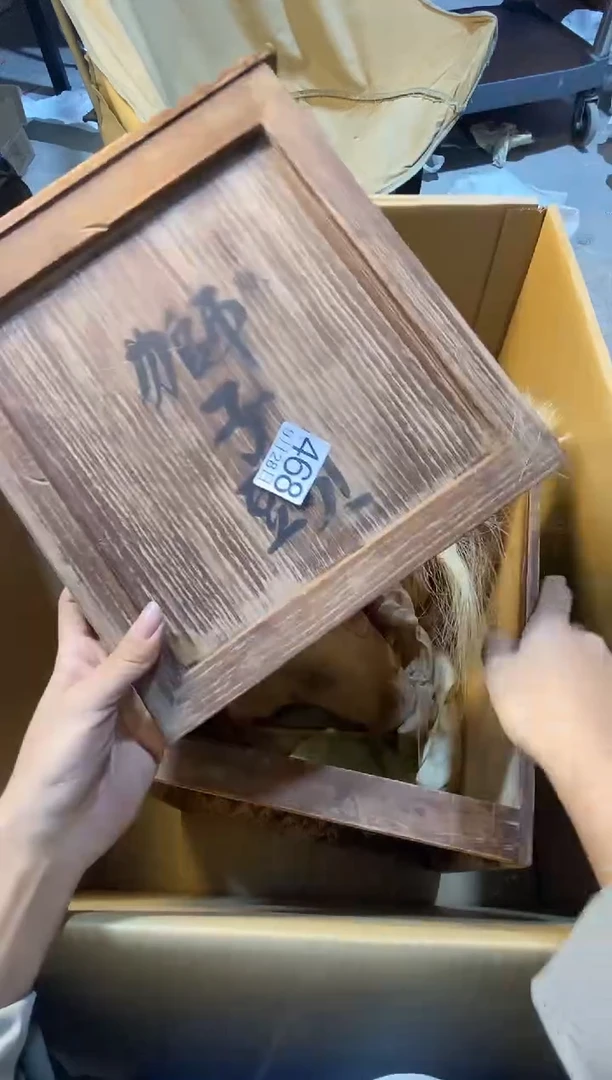 11111小**?1111111111