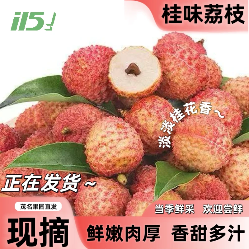 5斤整箱【顺丰冷链】广东桂味荔枝新鲜水果产地直发现摘现发应季