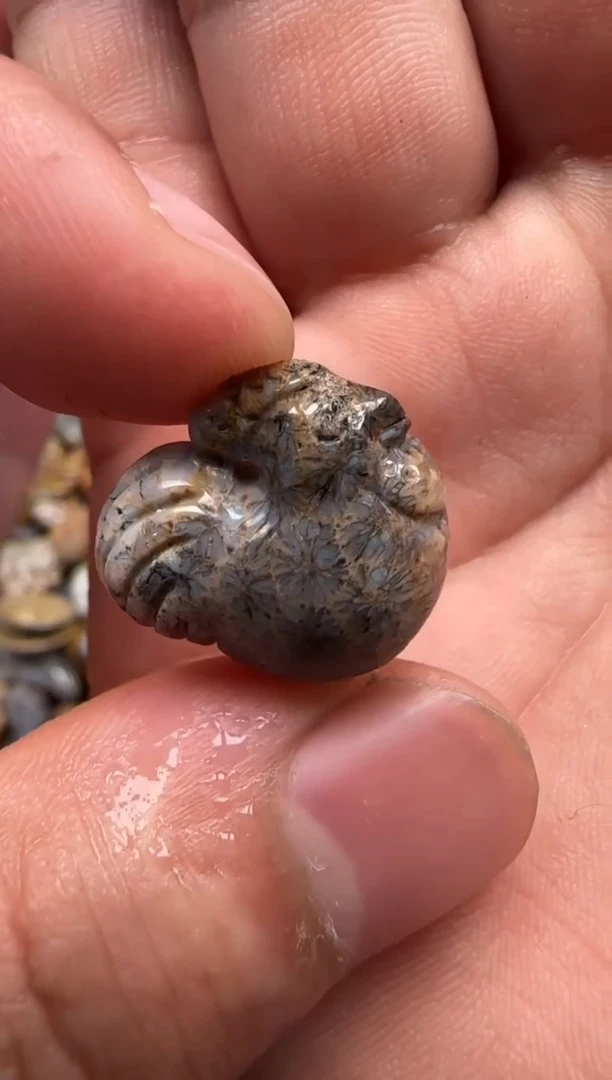 【闪购商品】硅化珊瑚（珊瑚玉）颈饰未镶嵌783