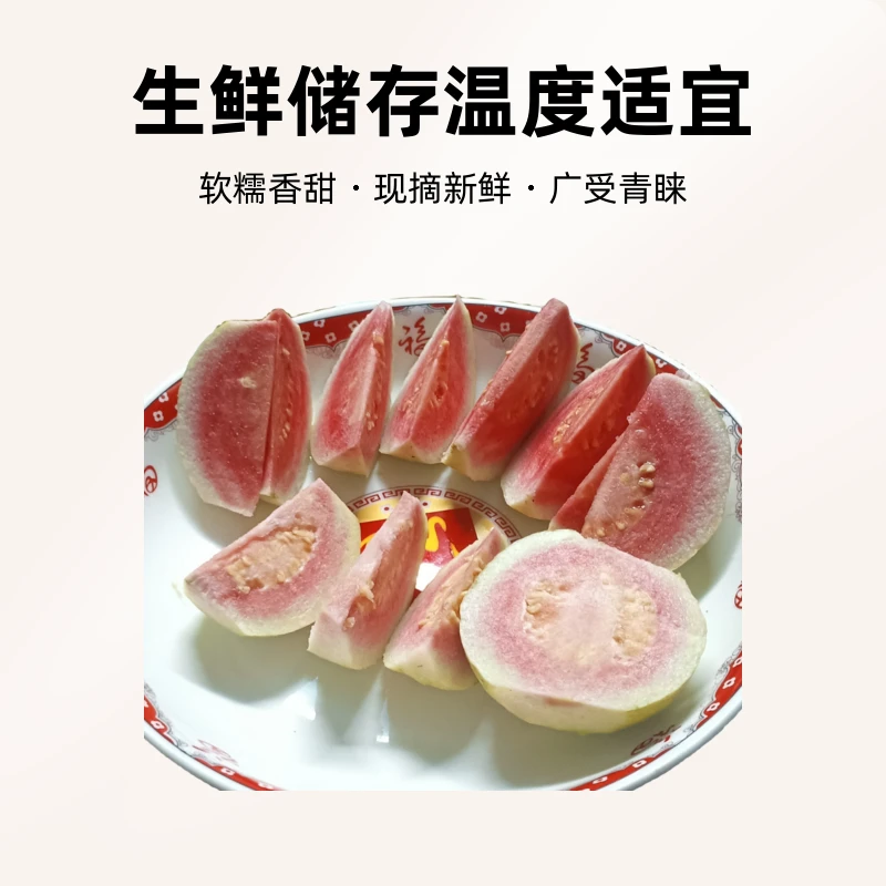 海南蜜桃红心芭乐番石榴现摘新鲜奶油软糯香甜当季低糖芭乐红心