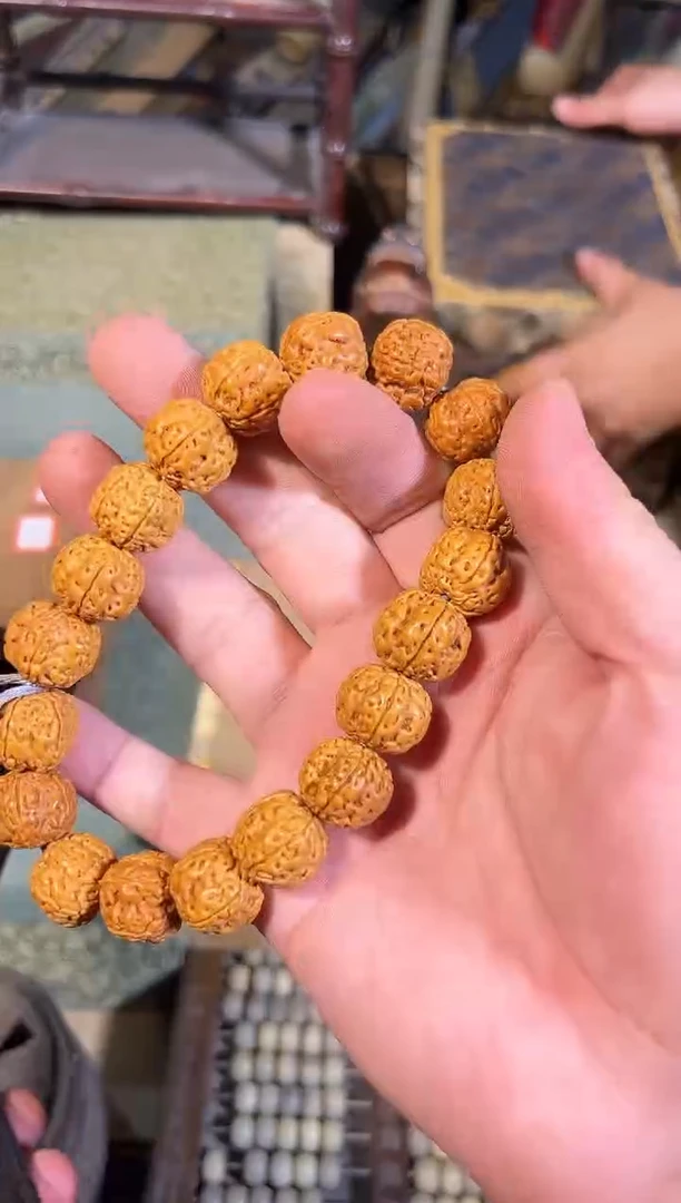 黄杨木1111111111111111111