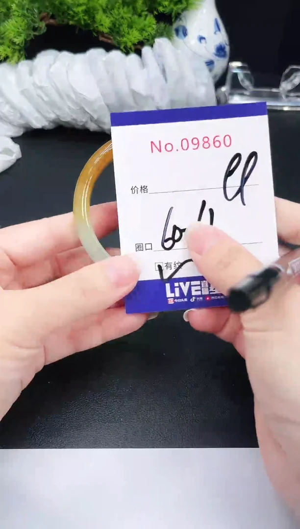 未镶嵌手镯翡翠9860
